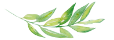 leaf divider