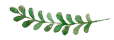 leaf divider