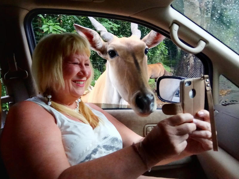 Taman Safari